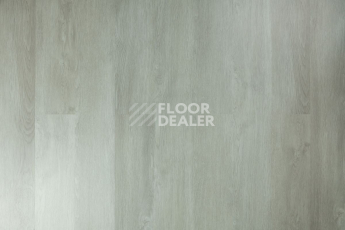 Tarkett Funky House CRUZE фото 7 | FLOORDEALER